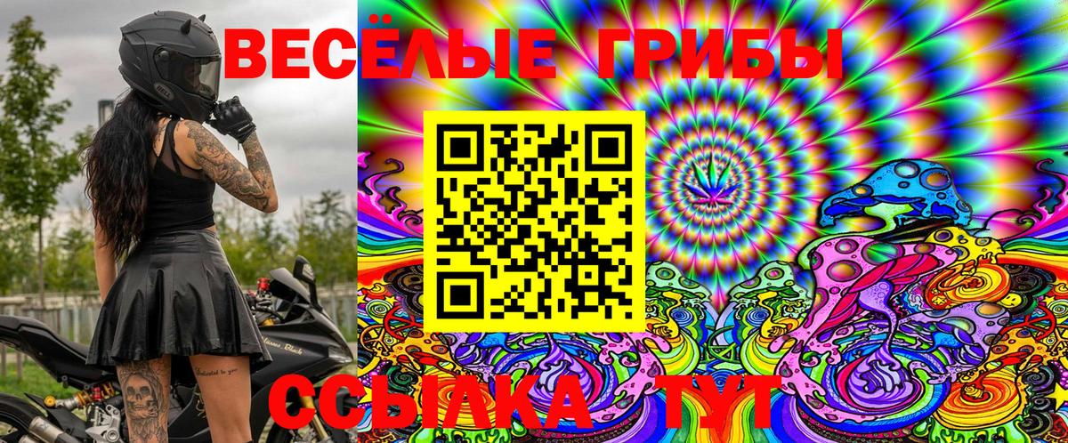 Псилоцибиновые грибы GOLDEN TEACHER  Псилоцибиновые грибы MAGIC MUSHROOMS  Вход с VPN  Менделеевск 
